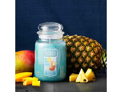 Bahama Breeze Scented Single Wick Candle