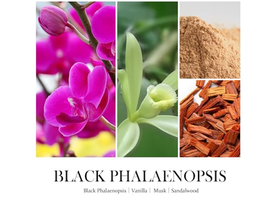 Black Phalaenopsis Scented Candle