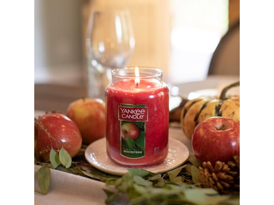 Classic 22oz Large Jar Single Wick Scented Candle