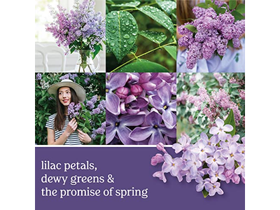 Lilac Blossoms Scented Single Wick Candle