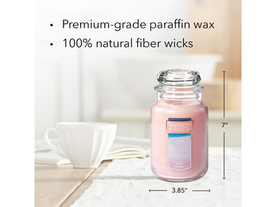 Pink Sands Scented Single Wick Candle