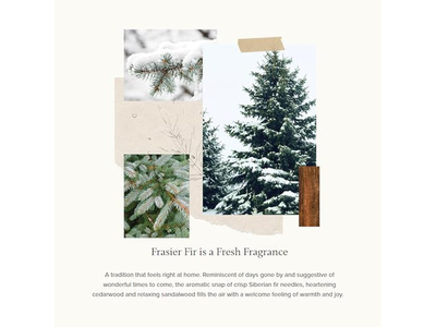 Thymes Frasier Fir Pine Needle Candle